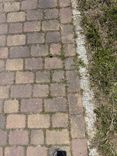 Jastrzębie Zdrój – czyszczenie kostki brukowej – przed