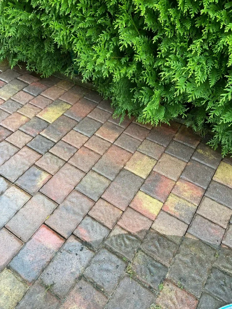 Jastrzębie-Zdrój – czyszczenie kostki brukowej przy garażu (35 m²) – po